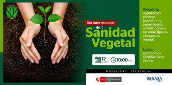 Taller presencial - "Las plagas y su importancia en el comercio agrícola" Senasa