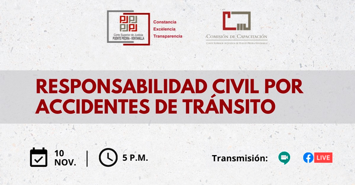 Conferencia Magistral Gratuita Sobre Responsabilidad Civil Por ...