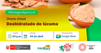 Charla online "Deshidratado de lúcuma" de Agro rural