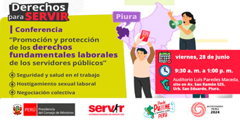  Conferencia presencial Promoción y protección de los derechos fundamentales laborales de los servidores públicos