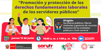 Conferencia online Promoción y protección de los derechos fundamentales laborales de los servidores públicos