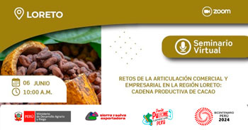 Seminario online "Retos de la articulación comercial y empresarial en la región Loreto" 