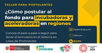 Taller online para Postulantes "Concurso de Incubadoras y Aceleradoras Regionales"