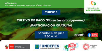  Curso online gratis "Cultivo de paco (Piaractus Brachypomus)" del FONDEPES