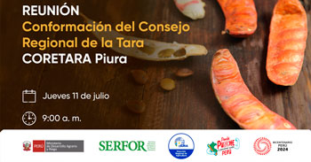 Evento presencial "Conformación del Consejo Regional de la Tara  CORETARA Plura" en el Perú de Serfor Perú