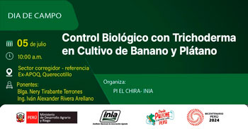  Evento presencial "Control Biológico con Trichoderma en cultivo de Banano y Plátano" del INIA