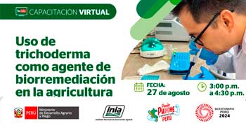 Capacitación online Uso de trichoderma como agente de biorremediación en la agricultura del INIA