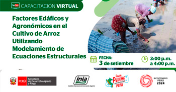 Capacitación online "Factores edáficos y agronómicos en el cultivo de arroz" del INIA