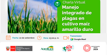 Charla online "Manejo integrado de plagas en cultivo maíz amarillo duro"  de Agro Rural