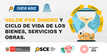 Curso online gratis con certificado "Valor por dinero y ciclo de vida de los bienes, servicios y otros"