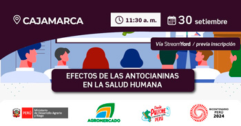 Seminario online "Efectos de las antocianinas en la salud humana" de Sierra y Selva Exportadora