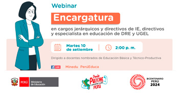 Webinar online "Encargatura en el marco de la Ley de Reforma Magisterial" del MINEDU