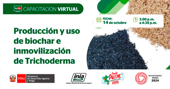 Capacitación online "Producción y uso de biochar e inmovilización de Trichoderma" del INIA