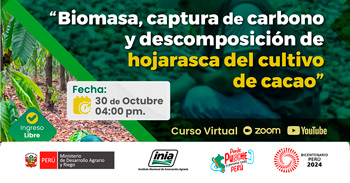 Curso online "Biomasa, captura de carbono y descomposición de hojarasca del cultivo de cacao" del INIA