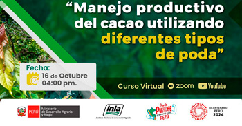 Curso online "Manejo productivo del cacao utilizando diferentes tipos de poda" del INIA