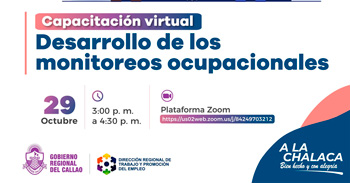 Seminario online "Desarrollo de los monitoreos ocupacionales" DRTPE del Callao