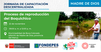 Capacitación presencial "Proceso de reproducción del Boquichico" de FONDEPES