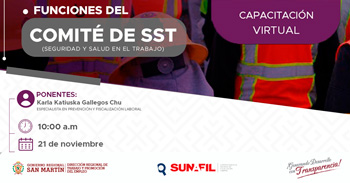 Capacitación online gratis  Funciones del comité de SST - seguridad y salud en el trabajo  del DRTPE  de San Martín