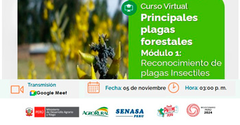 Curso online "Principales plagas forestales en Ancash"  de Agro rural