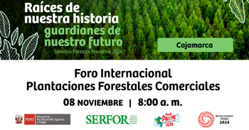 Foro presencial "Plantaciones Forestales Comerciales" Midagri