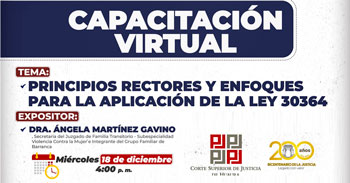  Capacitación online "Principios Rectores y Enfoques para la Aplicación de la Ley 30364" 