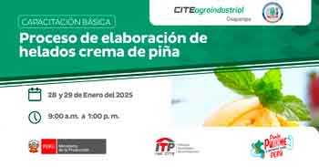  Capacitación presencial " Proceso de elaboración de helados crema de piña" de la CITEagroindustrial Oxapampa