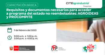  Capacitación Requisitos y documentos necesarios para acceder a programa detestado no reembolsables