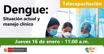  Capacitación online "Dengue: Situación actual y manejo clínico" del MINSA