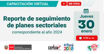 Capacitación online "Reporte de seguimiento de planes sectoriales correspondiente al año 2024"