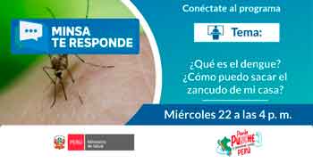  Evento  online gratis "¿Qué es el dengue? ¿Cómo puedo sacar el zancudo de mi casa?" del  MINSA