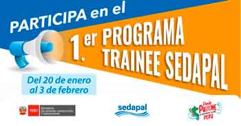  Programa Trainee de Sedapal - 2025