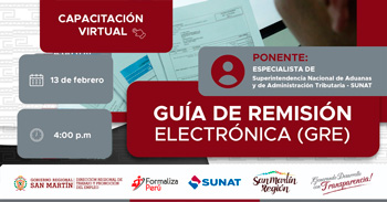  Capacitación online "Guía de Remisión Electrónica (GRE)" DRTPE de San Martín