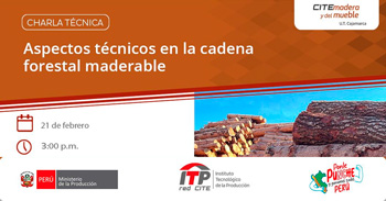  Charla online "Aspectos técnicos en la cadena forestal maderable" del CITEmadera