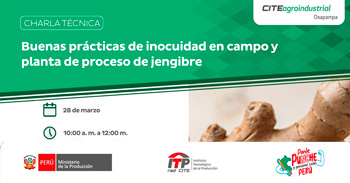   Charla online "Buenas prácticas de inocuidad en campo y planta de proceso de jengibre"