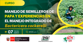  Curso presencial  " Manejo de Semilleros de papa y experiencias en el manejo de Bactericera cockerelli "