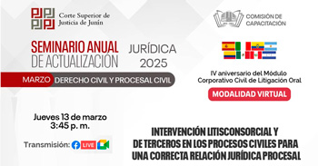  Seminario Intervención litisconsorcial y de terceros en los procesos civiles para una correcta relación jurídica