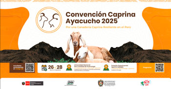 Evento presencial gartis "Convención Caprina Ayacucho 2025" del INIA