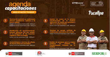 Capacitaciones especializadas CITEforestal Pucallpa y BPS - SERFOR