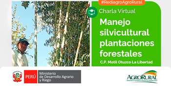 Charla online gratis "Manejo silvicultural de plantaciones forestales" de Agro Rural