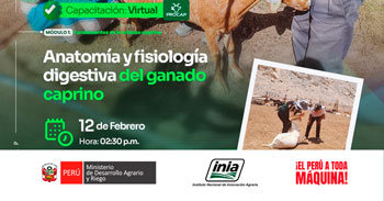 Capacitación online "Anatomía y fisiología digestiva del ganado caprino" del INIA