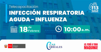 Capacitación online "Infección respiratoria aguda - Influenza" del MINSA