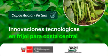 Capacitación online "Innovaciones Tecnológicas en frijol para Costa Central" del INIA