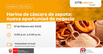 Charla online "Harina de cáscara de zapote: nueva oportunidad de negocio" del CITEproductivo Pucallpa