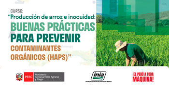 Curso online: Producción de arroz e inocuidad: buenas prácticas para prevenir contaminantes orgánicos (HAPs)