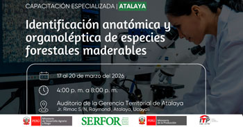 Capacitación presencial "Identificación anatómica y organoléptica de especies forestales maderables"