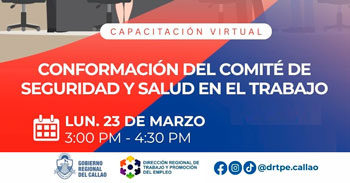 Capacitación online "Conformación del comité de seguridad y salud en el trabajo" DRTPE del Callao