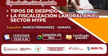 Capacitación online gratis "Tipos de despido - La fiscalización laboral en el sector mype"