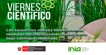 Capacitación online Los consorcios nativos halotolerantes modulan las interacciones suelo-planta bajo salinidad moderada