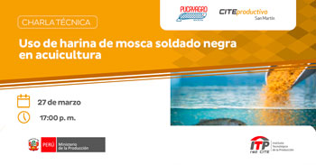 Charla online "Uso de harina de mosca soldado negra en acuicultura" del CITEproductivo San Martín