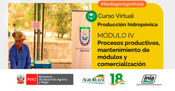 Curso online gratis Producción hidropónica. Procesos productivos, Mantenimiento de módulos y comercialización
